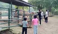 Pemkot Bandung Terus Upayakan Pengamanan Aset Kebun Binatang