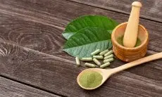 Apa Itu Tanaman Kratom, Benarkah Bikin Ketagihan Seperti Narkoba?