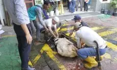 PLN UID Jabar Tebar Berkah 1.050 Paket Daging Kurban Idul Adha 1445 H ke Warga dan Santri di Sumedang