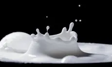 Bukan Hanya Dikonsumsi, Susu Kambing Juga Bisa Dijadikan Sampo yang Bermanfaat untuk Kesehatan Rambut