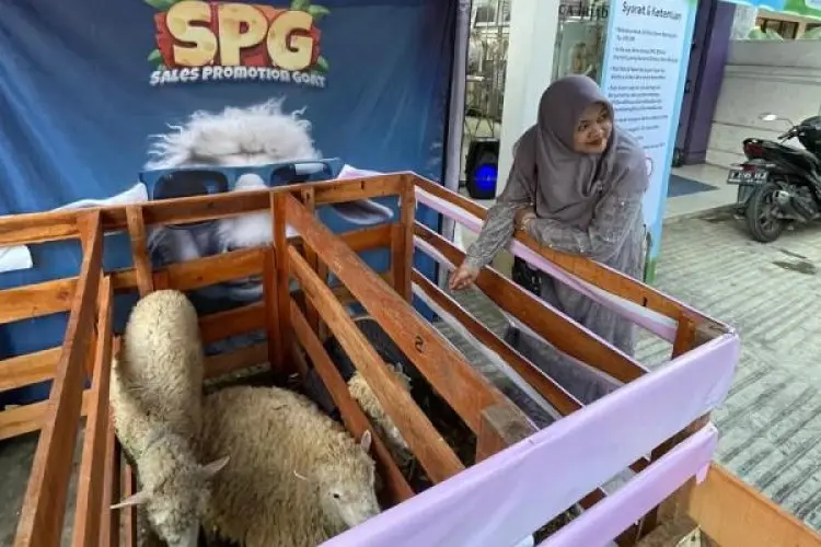 Sambut Iduladha 1445 H, Ethica dan Rumah Qurban Dandani Kambing dengan Pakaian Lucu