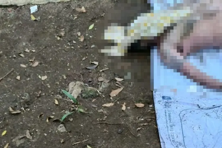 Mayat Pria Bertato Hebohkan Pengunjung Taman Lansia
