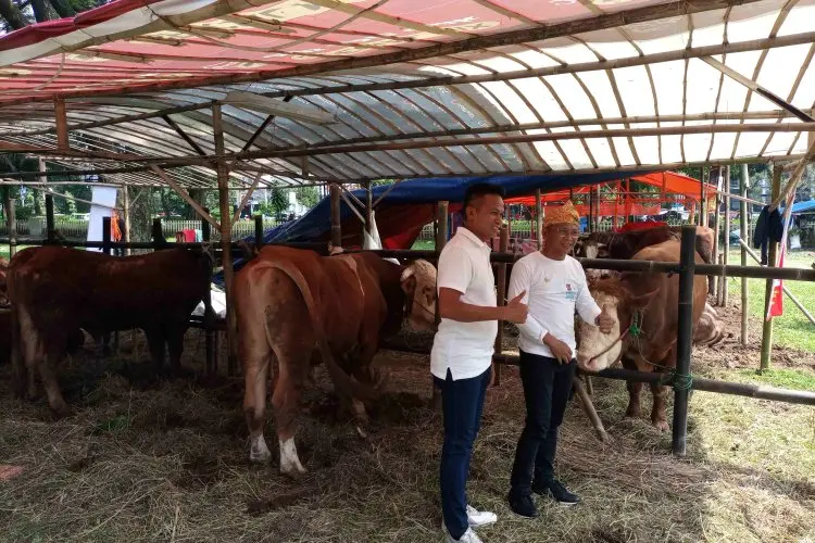 Sambut Idul Adha, Pj Wali Kota Kunjungi Bursa Hewan Qurban dan RPH Bubulak