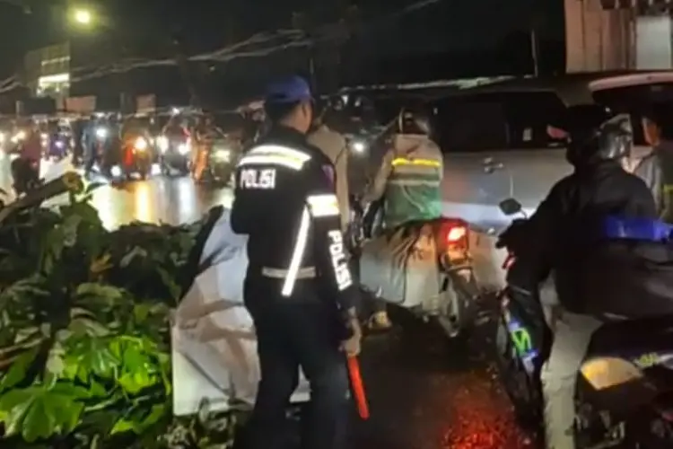 Baru Pulang Bekerja, Remaja Ini Tewas Tertimpa Pohon di Jalan KS Tubun