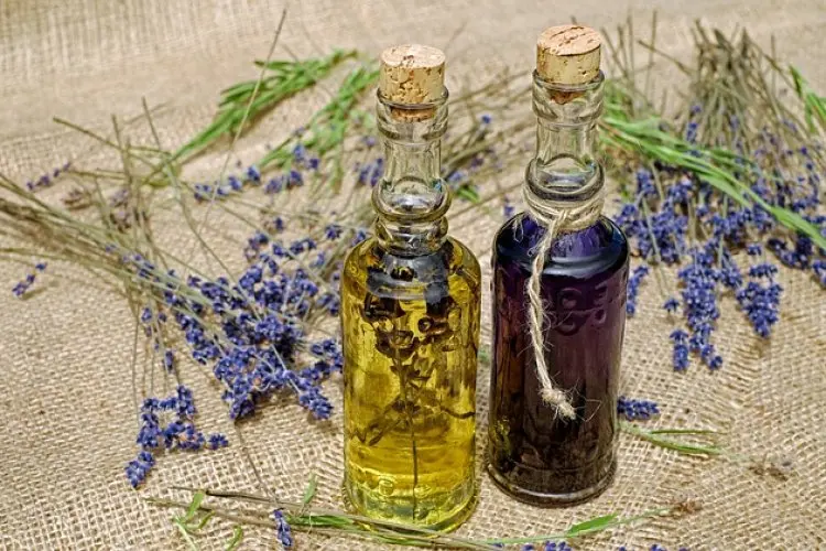 Bukan Hanya Wangi, Minyak Lavender Juga Punya Manfaat untuk Kulit