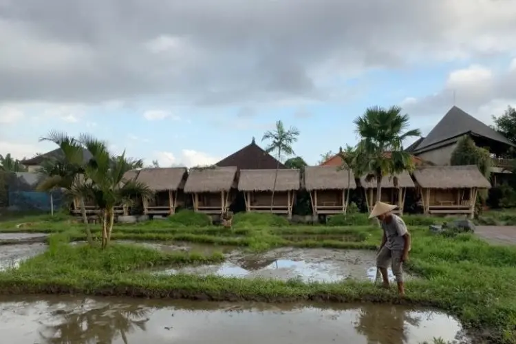 Rekomendasi Villa untuk Liburan Bareng Keluarga di Bali, Ada yang Bisa Ngadem di Hutan