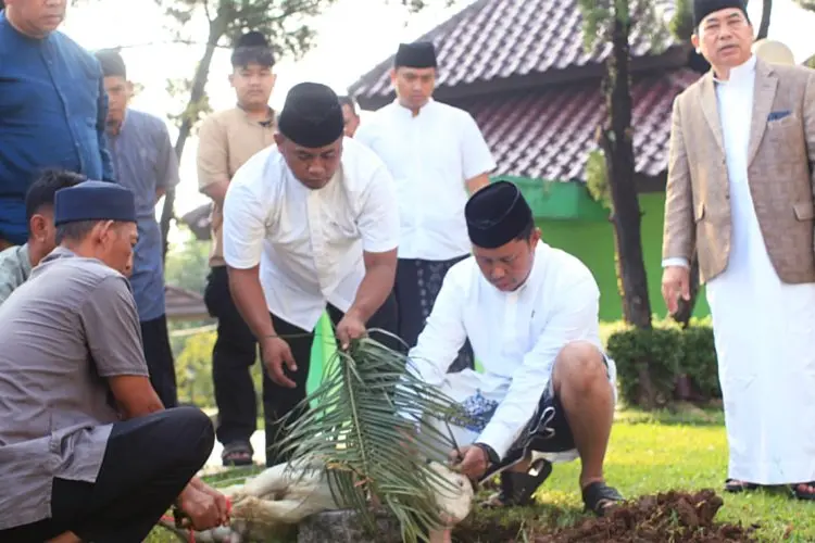 Jadi Tukang Jagal, Asmawa Tosepu Penjabat Kabupaten Bogor Mengaku Anak Petani di Konawe