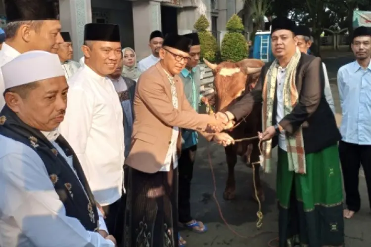 Pj Wali Kota Bogor Serahkan Hewan Kurban Sapi Limosin Berbobot 450 Kg