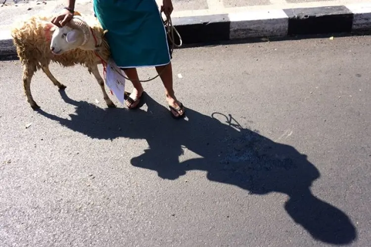 FOTO: Pemotongan Hewan Kurban di Masjid Lautze 2