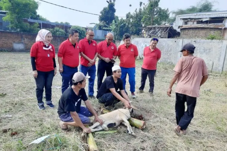 Sembelih 2 Sapi dan 11 Domba, Upaya IKADIN Bandung Perkuat Kepedulian