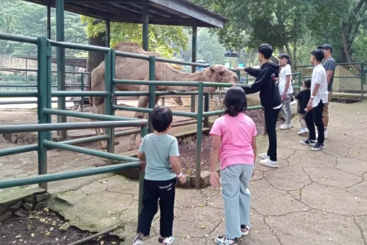 Libur Idul Adha 1445 H, Bandung Zoo Ramai Dikunjungi Wisatawan Luar Daerah