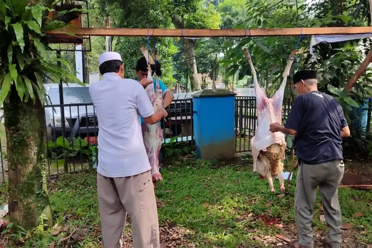 Hari Kedua Idul Adha, PWI Kota Bogor Sembelih 2 Ekor Kambing