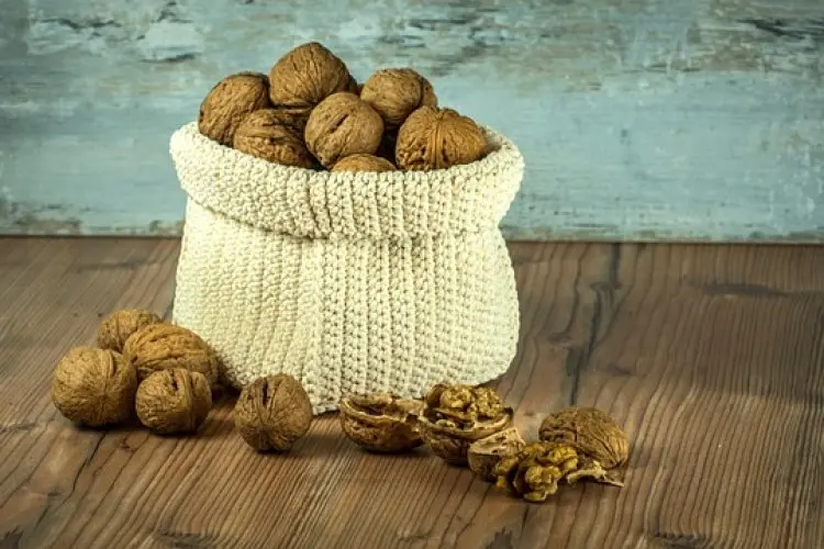 3 Cara Mudah Menambahkan Kacang Kenari ke Dalam Rutinitas Perawatan Kulit