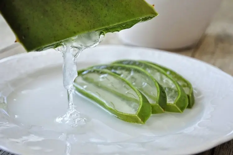 Tips Aplikasikan Gel Lidah Buaya Sebagai Serum Bulu Mata hingga Cerahkan Kulit