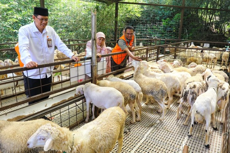 DKPP Klaim Lokasi Penjualan Hewan Kurban di Kota Bandung Kian Tertata