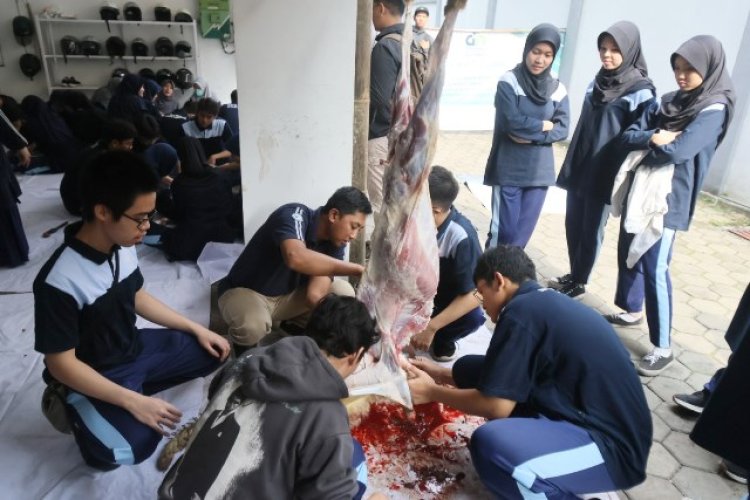 FOTO: Edukasi Penyembelihan Hewan Kurban di SMA Darul Hikam Unggulan