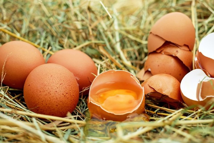 3 Manfaat Luar Biasa dari Masker Wajah Telur untuk Kulit Bersih dan Bercahaya
