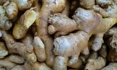 Resep Ajaib dr. Zaidul Akbar: Detox Tubuh dan Percepat Penyembuhan Luka Cuma Pakai 3 Bahan Dapur!