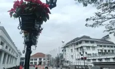 Sambut Delegasi Asia Africa Festival 2024, Bunga Katsuba Hiasi Jalan Asia Afrika,