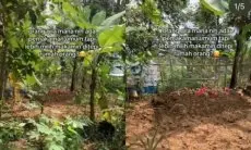 Viral Wanita Ini Keluhkan Ada Makam di Dekat Halaman Rumahnya