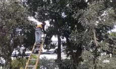 Tingkatkan Estetika Kota, PLN Icon Plus Lakukan Perapihan dan Penataan Kabel Fiber Optik
