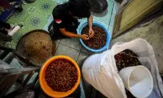 Pemprov Jabar Jajaki Kerjasama Ekspor Kopi dan Kakao ke Filipina