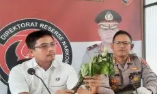 Kecubung Tak Lagi Dipakai Sebagai Obat Tradisional, Dokter: Tanaman Beracun!