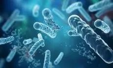 Manfaat Probiotik untuk Atasi 6 Masalah Kesehatan Kulit yang Ganggu Penampilan