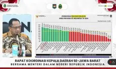 Pemerintah Pusat Minta Daerah Jangan Andalkan Dana Transfer