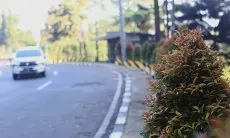 6 Jalur Alternatif ke Puncak Bogor Tanpa Terjebak Kemacetan yang Wajib Dicoba!