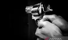 Tiga Tewas dan Belasan Orang Terluka Akibat Penembakan Massal di AS