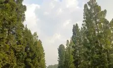 Liburan Akhir Bulan di Bogor? Coba 4 Tempat Healing Gratis Ini!