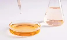 Ketahui Arti Bebas Paraben dalam Produk Kosmetik dan Efek Sampingnya!