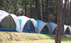 Menjelajahi 'Surga' Tersembunyi di Kota Hujan: 6 Rekomendasi Wisata Alam Bogor yang Menakjubkan