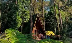 5 Rekomendasi Glamping Estetik di Puncak Bogor