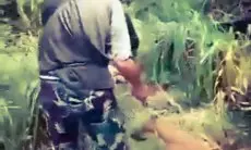 Video Penyiksaan Anjing Diduga Terjadi di KBB, Pendiri Komunitas Pecinta Hewan Lapor ke Polres Cimahi 