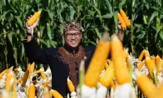 Profil Sudaryono, dari Urus-urus Pertanian Ditunjuk ke Badan Gizi