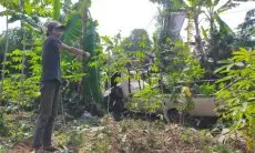 Diduga Rem Blong, Sebuah Pickup Hantam Tiang Listrik di Ngamprah, Satu Orang Meninggal Dunia