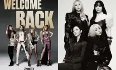 Apa yang Menyebabkan Kegilaan di Kalangan Penggemar K-Pop Terhadap Comeback 2NE1?