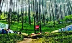 Menikmati Pesona Alam Bandung Timur: 3 Rekomendasi Wisata di Cileunyi yang Wajib Dikunjungi