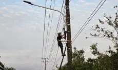 Jaga Kehandalan Jaringan, PLN Icon Plus Regional Jawa Barat Lakukan Patroli dan Perapihan di Jalan Pelabuhan Cigadung Subang