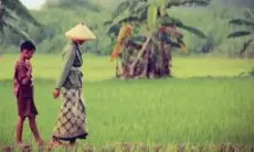 Ribuan Hektare Sawah Tadah Hujan di KBB Diprediksi Kekeringan pada Musim Kemarau Tahun Ini