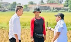 Kemarau Panjang Mengancam, Bey Machmudin Serap Aspirasi Petani Bogor