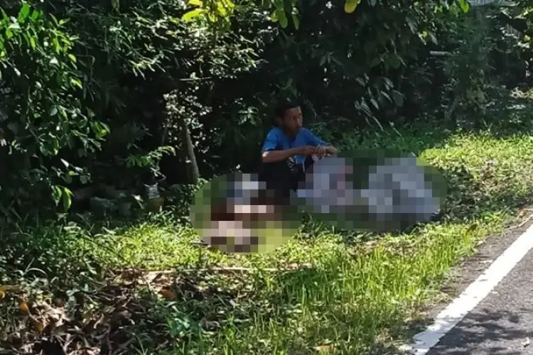 Pelaku Mutilasi di Garut ODGJ? Ini Kata Polisi