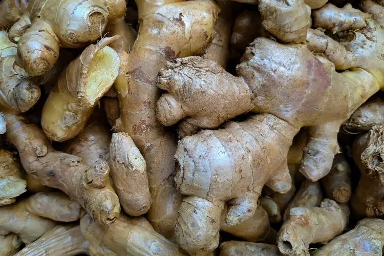 Resep Ajaib dr. Zaidul Akbar: Detox Tubuh dan Percepat Penyembuhan Luka Cuma Pakai 3 Bahan Dapur!