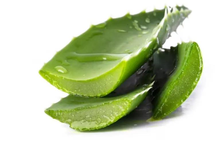 Manfaat Aloe Vera yang Disesuaikan dengan Jenis Kulitnya