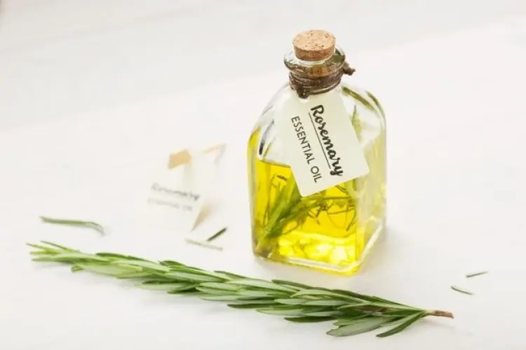 Manfaat dan Cara Memilih Minyak Rosemary untuk Rambut Sehat dan Lembut