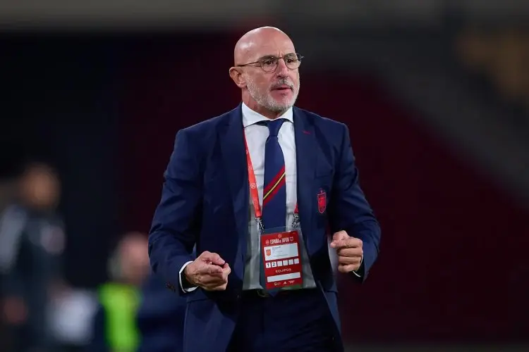 Spanyol vs Inggris Final Euro 2024, Menanti Bukti dari Sesumbar Ucapan Luis de La Fuente