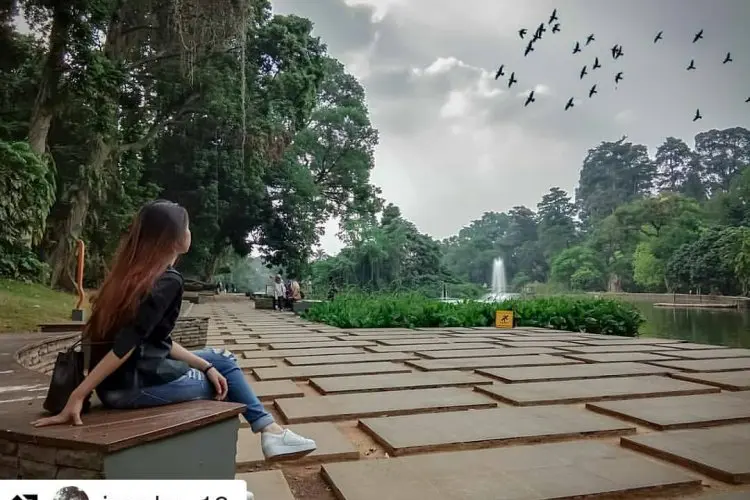 4 Cara ke Kebun Raya Bogor Naik KRL: Jelajahi Keindahan Alam dan Sejarah, Panduan Lengkap Menuju Destinasi Wisata Favorit!