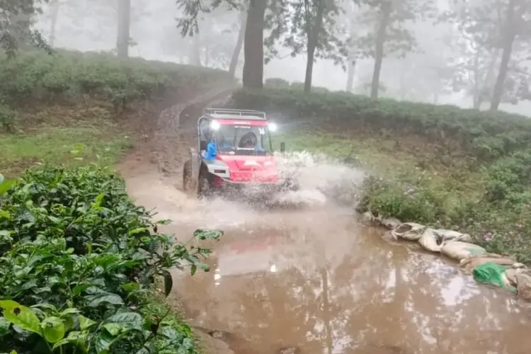 Menjelajahi Puncak Bogor: 5 Destinasi Wisata Adrenalin yang Mengguncang Jiwa